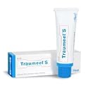 Traumeel 3.53 oz (100 g) Ointment