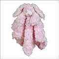 âCottontail Cutieâ Bunny Security Blanket