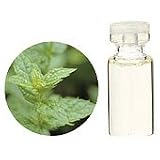 生活の木 スペアミント エッセンシャルオイル 50ml Eoil_smint50の画像