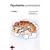 Psychiatrie systematisch