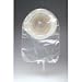 Search : ActiveLife Convex One Piece Drainable Pouch with Durahesive Skin Barrier - Pre-Cut 1" - Color: Transparent - Box of 10