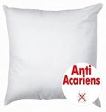 Les Douces Nuits de Ma� - Oreiller ANTIACARIENS 60x60 600gr