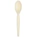 Dixie TH117 Heavy Weight Polystyrene Teaspoon, 6" Length, Champagne (Case of 1,000)