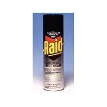 Raid Insect Killer Aerosol 19 Oz. (94891JD)