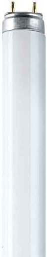 Leuchtstofflampe L 15/77 Fluora