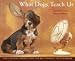 What Dogs Teach Us 2010 Wall Calendar 13" X 10.5"