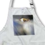 VWPics Nano Calvo Photography Dog - 5 months old puppy spies - Aprons