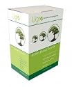 British Triple Bonsai Tree Seed Kit