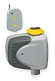 Industrial Grade 1HLX3 Remote Control System