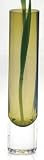CORRADO OLIVE BUD VASE - CORRADO OLIVE CRYSTAL BUD VASE-