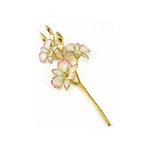 REAL FLOWER Dendrobium Orchid in Pink White Center by 