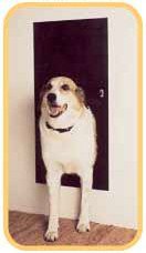 Solo Pet Door Automatic Electronic Dog and Cat Door (18