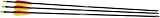 Arrow Precision Fiberglass Youth Arrows - 12pk