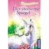 Der steinerne Spiegel Sternenschweif Bd. 3