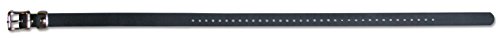 SportDOG Brand Collar Strap - 3/4-Inch, Grey