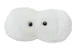 Giant Microbes - Cavity (Streptococcus mutans) Educational Plush Toy