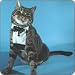 Cat Tuxedo Bride Groom Harness Large