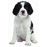 Eigenschaften Rosenau24  / Kühlschrankmagnet English Springer Spaniel