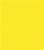 Ceramcoat Acrylic Paint 12 Ounces-Citrus
