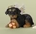 Rottweiler Angel Pupopy Dog Christmas Ornament by Roman