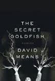 The Secret Goldfish: Stories
