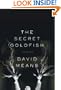 The Secret Goldfish: Stories