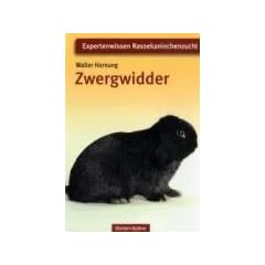 Zwergwidder: Expertenwissen Kaninchenzucht