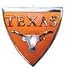 Texas Longhorns Decorative Car Emblem (Sticks) NCAA College Athletics Sports Team Merchandise Image