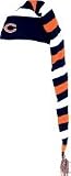 Chicago Bears 2009 Coach