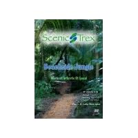 Scenic Trex Beachside Jungle DVD - Virtual Walking, Cycling, Treadmill Workout