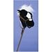 Plush Black Stick Horse 33