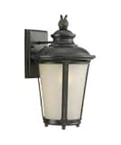1L Wall Lantern Burled Iron