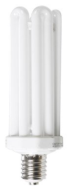 Lights of America 92100B Compact Fluorescent Bulb