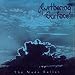 Withering Surface-The Nude Ballet