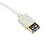 SuperSpeed USB 3.0 Type A Male to Type A Female Extension Cable (30cm / 1 Foot) White