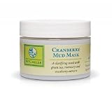 MyChelle Dermaceuticals Cranberry Mud Mask