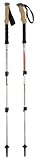 Black Diamond Trail Ergo Cork Trekking Poles (Pair) - Discontinued