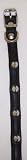 Omni Pet No.12LK-BK14 Leather Latigo 1 Ply Metal Spike Black Dog Collar 14in x 0.5in