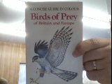 Birds of prey of Britain and Europe
