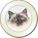 BIRMAN CAT Tax Disc Holder