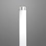 F15T8/CW FLUORESCENT LIGHT BULB COOL WHITE LONG LIFE DISPLAY FLUORESCENT 36,000 HOURS