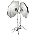 Photoflex DPFSPTKT First Studio Portrait Kit Lighting Kit