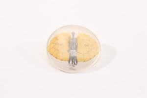 Domed Brooch