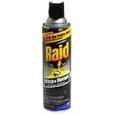 Raid Wasp and Hornet Killer, 14 oz. can
