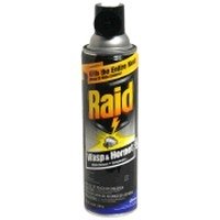 Johnson S C Inc 01353 Wasp And Hornet Killer