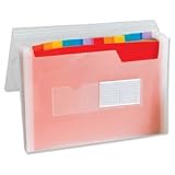 Europa Expanding File Coloured Polypropylene 13 Pockets A4 Ref 42159