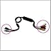 �r�i���V�m�z�J�N�W���c USB�Z�c�]�N�r�f�I�L���v�`���[�A�_�v�^ SD-USB2CUP