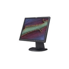 Lenovo TS L171P 43,2 cm (17 Zoll) TFT LCD-Monitor (Kontrast 500:1, 8ms Reaktionszeit) schwarz/anthrazit