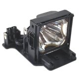 Infocus Replacement Lamp 2000 Hours For Lp815 Lp820 Dp8200x C410 C420