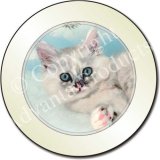 TIFFANIE KITTEN Tax Disc Holder